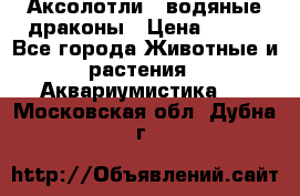 Аксолотли / водяные драконы › Цена ­ 500 - Все города Животные и растения » Аквариумистика   . Московская обл.,Дубна г.